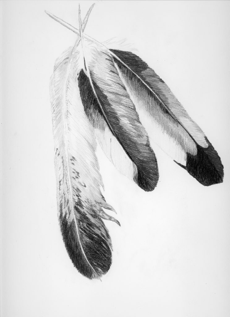 Three eagle feather